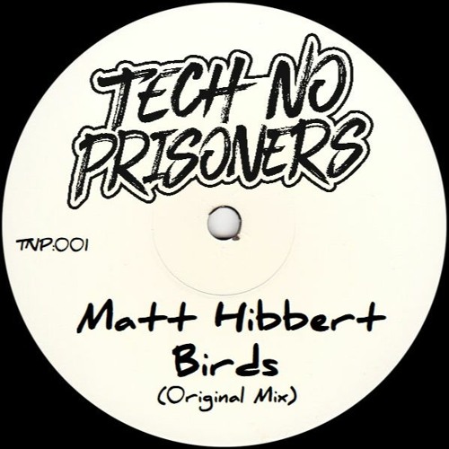 Matt Hibbert - Birds (Original Mix) TNP:001