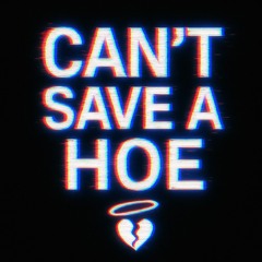 CANTSAVEAHOE