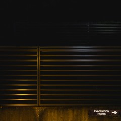 California Poppy (V2)