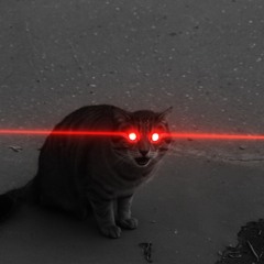 electro for cats
