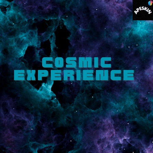 Cosmic Experience