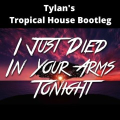 Cutting Crew - Died In Your Arms Tonight (Tylan's Tropical House Bootleg)
