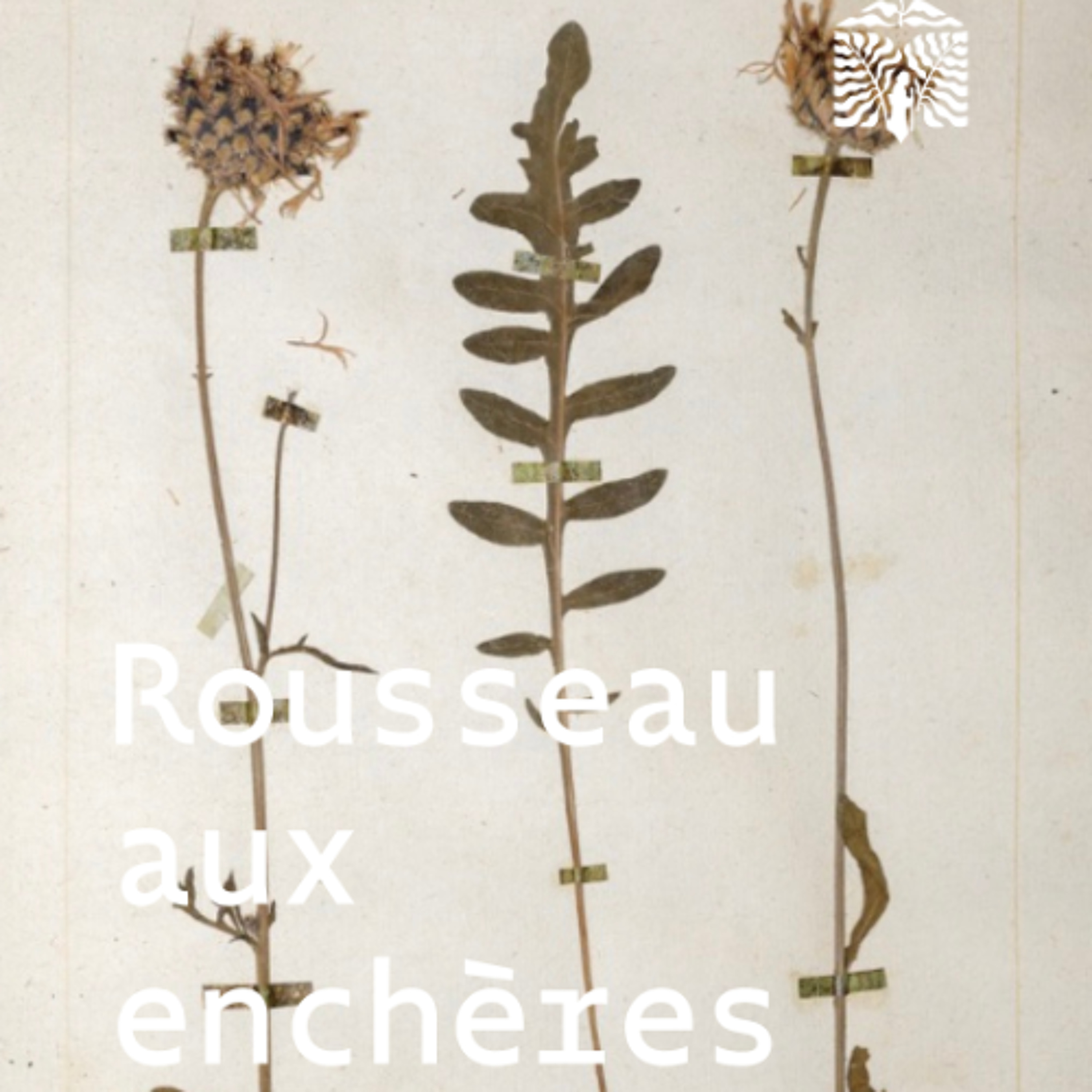 Rousseau aux Enchères