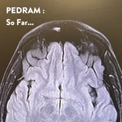 Pedram - So Far