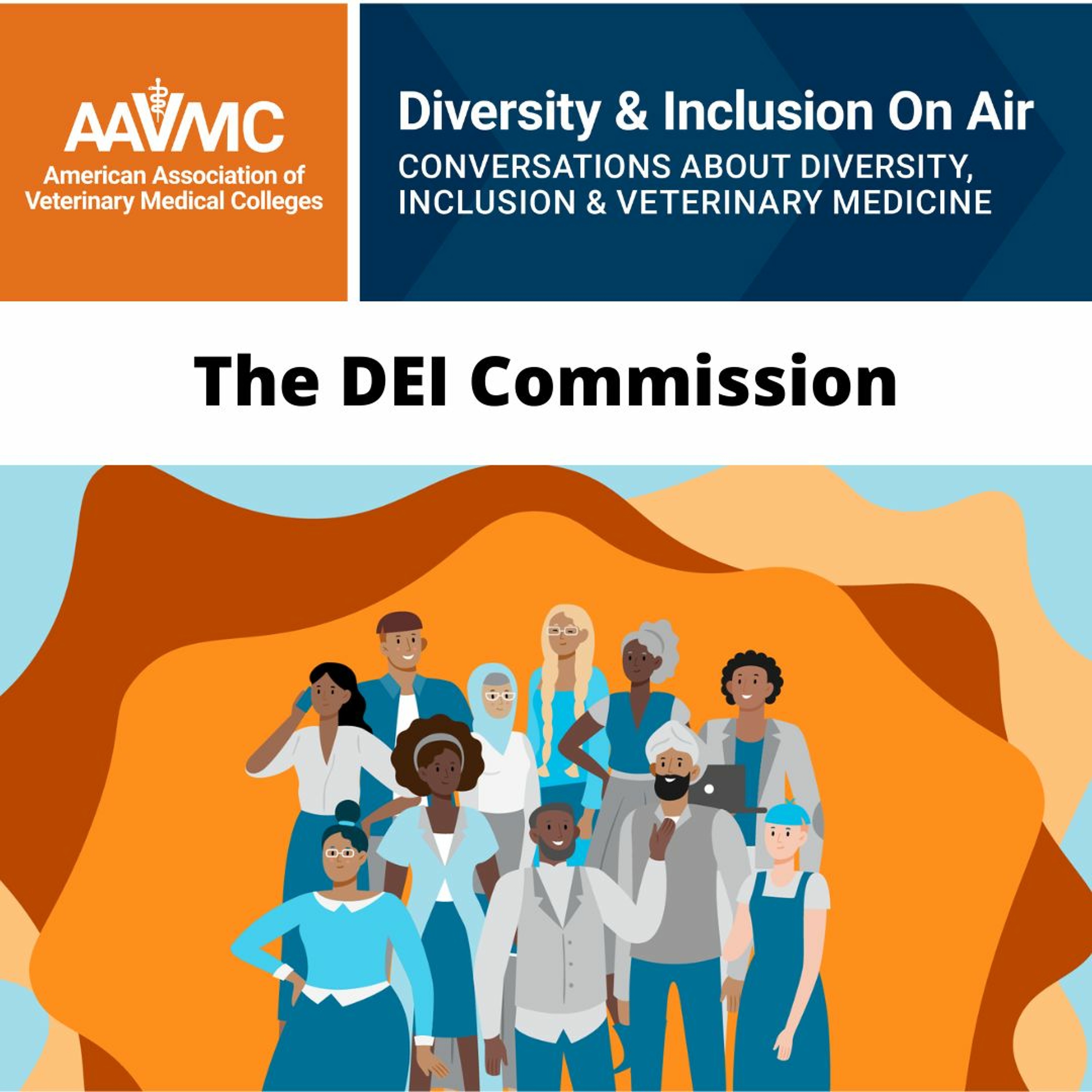 AAVMC\'s On Air: Conversations about Issues in Veterinary Medicine