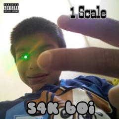 1 Scale