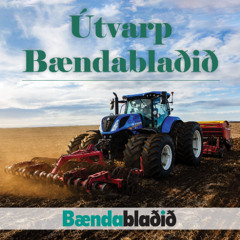 7._þáttur Trausti HJálmarsson formaður Bændasamtaka Íslands