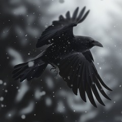 dark raven