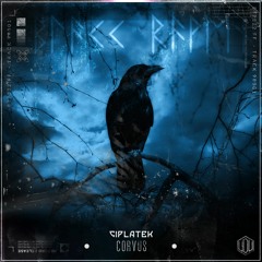 Ciplatek - Corvus [DEM-U017]