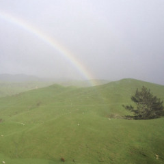 neptun3 (◣_◢) ✧