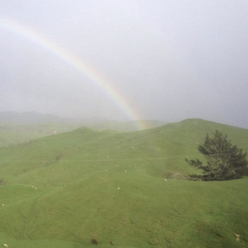 neptun3 (◣_◢) ✧