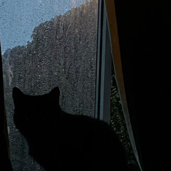 feel something w/Tuff2luhv