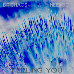 Feeling You (Dr. Chaos74 & Neekoo)