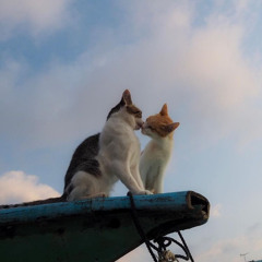 Lagi Viral !! Di Tik Tok DJ Purnama Merindu