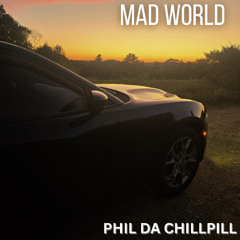 Mad World (Cover)
