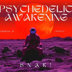 SNAK! - PSYCHEDELIC AWAKENING / 005