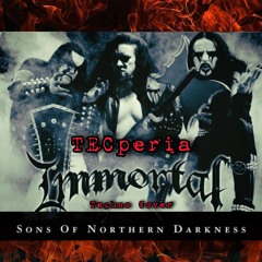 Sons of Northern Darkness [Immortal Techno Cover] [RAW Demo]