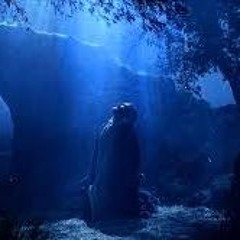 The garden composed by Tom Vinelli