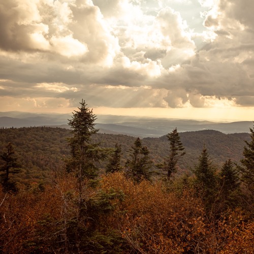 2025.02.07 Deep End Grooves on UA four.valve