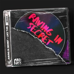 Raving In Secret - Like This (Original Mix) "OUT NOW"