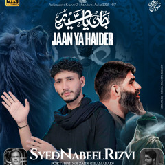 Jaan Ya Haider (as) | Nabeel Rizvi | Nohay 2025 | Morteza Khademi | Urdu/Farsi