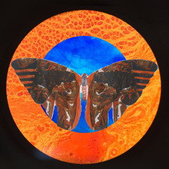 SolarTralie