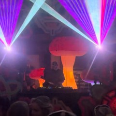 AURA x OASIS - Mushroom Valley - FLINN CARROLL