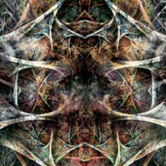 2021 - Set. Forest, Twilight, Dark.