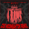 EsDeeKid, Timothee Chalamet - 4 RAWS (CXB Moombahton Remix)