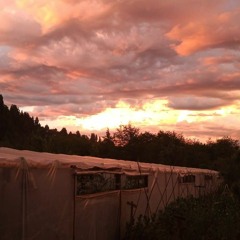 MonaConPad EP Fueguinoccio Primavera