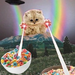 Cats power