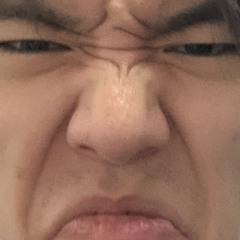 Potomac Heights (diss 4)