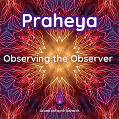Observing the Observer
