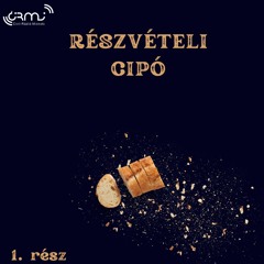 Részvételi CIPÓ - A II. Miskolci Ötletmaratonról