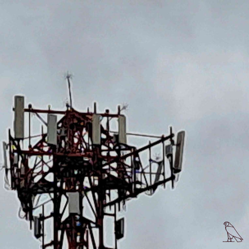 Ethan Burgundy - Loss of Signal