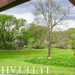 Stopping You From Making Me Hate Myself is Something I Should've Done Long Ago