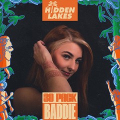 Baddie Hidden Lakes 30 Pack Set (DnB)