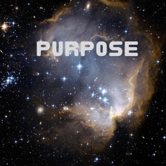 Mk47usa - Purpose