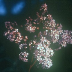 Marzo 'Between Days' Mix