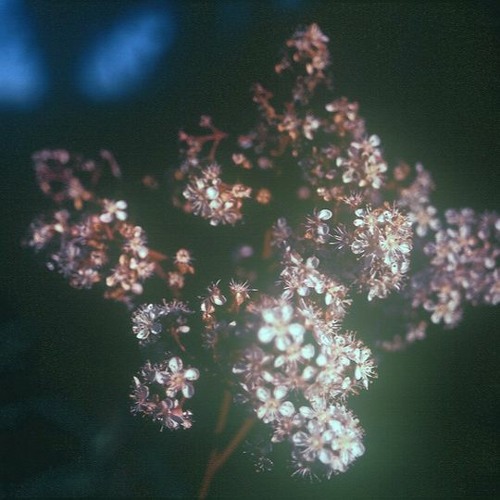 Marzo 'Between Days' Mix