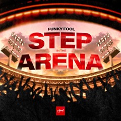 Funky Fool - Step In The Arena [Be Yourself Music]