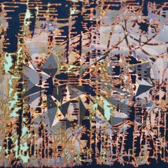 spider in the corner of my room