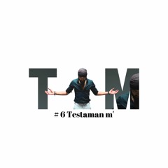 Testaman m