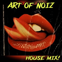 ART OF NOIZ - POP MUZIK @ MAL'S BAR - HOUSE MIX!