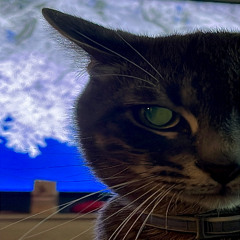 P.O.V (feat. Coming Clutch & BlueBerry) (Prod. UC London)