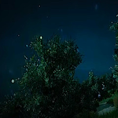 Black Desert Ost - Night time music before remastered