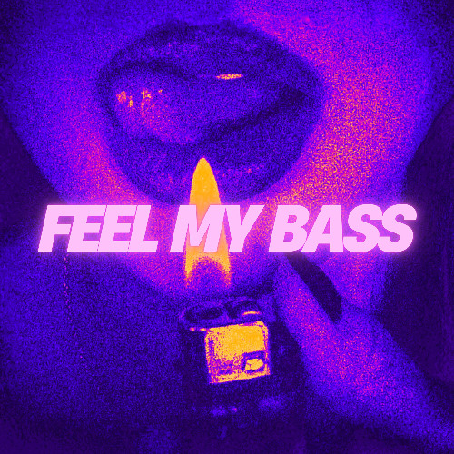 Feel My Bass