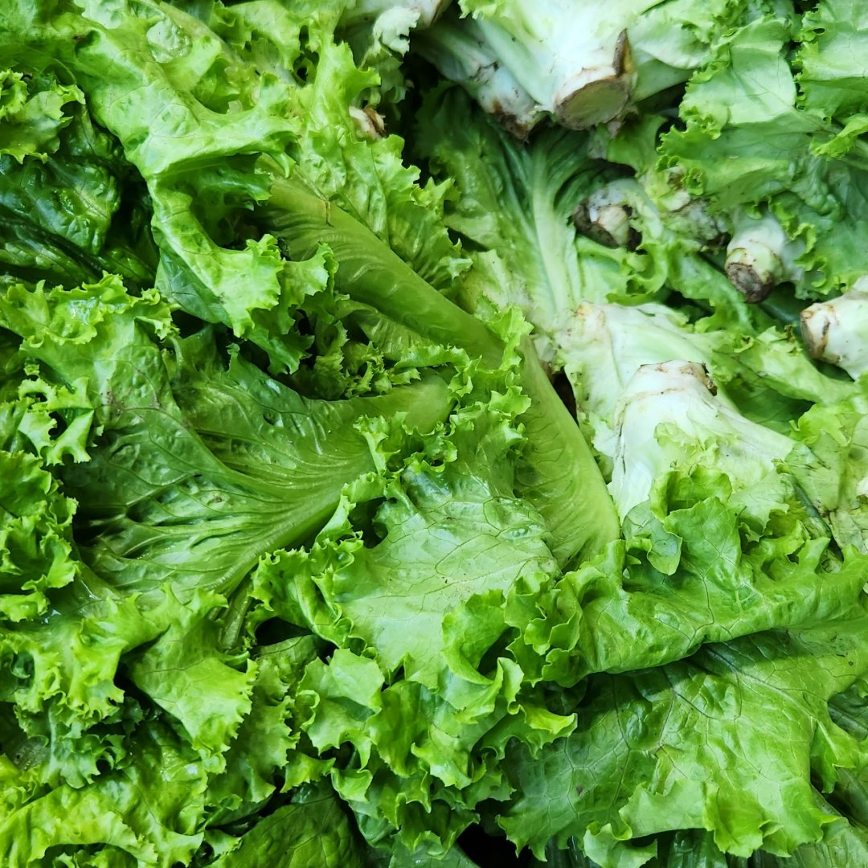 Concerns about safety, availability of produce in our supermarket aisles