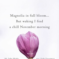 OneAmbient4 - A Chill November Morning (Naviarhaiku 360)