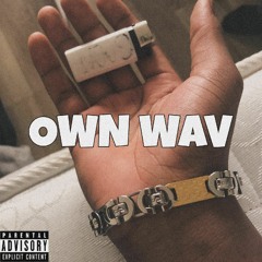 OWN WAV (ft ASPE and REOO) [Prod. sogimura]